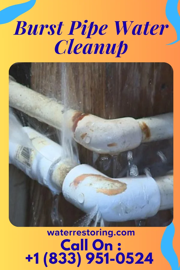 Burst Pipe Water Cleanup in Seboyeta, NM