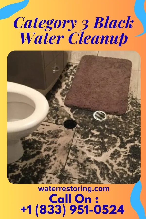 Category 3 Black Water Cleanup in Seboyeta, NM