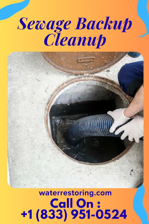 Sewage Backup Cleanup in Seboyeta, NM