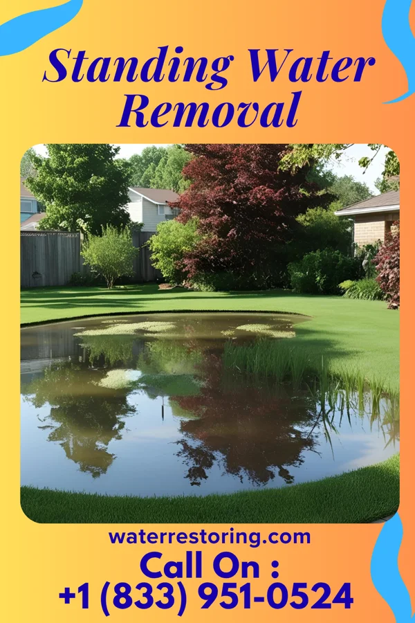 Standing Water Removal in Seboyeta, NM